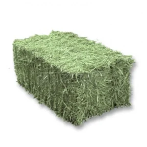 Feno em Fardo – 10,0 kg (Imagem meramente ilustrativa)